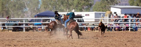 Конкуренция Roping икры команды на родео страны стоковое изображение rf Конкуренция Roping икры команды на родео страны стоковое изображение rf