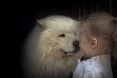 Концепции домашнего животного заботы собаки щенка ребенк ребенка доброта приятельства заботы влюбленности осиплой животная стоковая фотография Концепции домашнего животного заботы собаки щенка ребенк ребенка доброта приятельства заботы влюбленности осиплой животная стоковая фотография