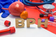 Концепция BPH доброкачественной простатической гипертрофии увеличение железы простаты Медицинская аббревиатура BPH окружена модел стоковое фото Концепция BPH доброкачественной простатической гипертрофии увеличение железы простаты Медицинская аббревиатура BPH окружена модел стоковое фото