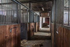 Коробки лошади в ферме стоковое фото Коробки лошади в ферме стоковое фото