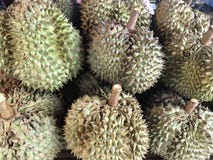 Король плодоовощей, durian стоковые изображения rf Король плодоовощей, durian стоковые изображения rf