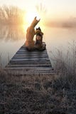 Кот влюбленности собаки, наблюдая заход солнца стоковая фотография Кот влюбленности собаки, наблюдая заход солнца стоковая фотография