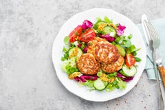 Котлеты и салат свежего овоща на белой плите Зажаренные фрикадельки с vegetable салатом Стоковые Фотографии RF Котлеты и салат свежего овоща на белой плите Зажаренные фрикадельки с vegetable салатом Стоковые Фотографии RF