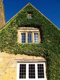 Коттедж деревни Cotswolds Англии Бродвей предусматриванный в плюще стоковое изображение rf Коттедж деревни Cotswolds Англии Бродвей предусматриванный в плюще стоковое изображение rf