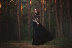 Красивая готическая принцесса с бледной кожей и очень длинными красными волосами в черной кроне и черном длинном платье в туманно стоковое изображение rf Красивая готическая принцесса с бледной кожей и очень длинными красными волосами в черной кроне и черном длинном платье в туманно стоковое изображение rf