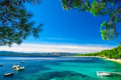 Красивая крыса Zlatni пляжа в Bol, острове Brac, Хорватии стоковое изображение rf Красивая крыса Zlatni пляжа в Bol, острове Brac, Хорватии стоковое изображение rf