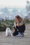 Красивая молодая усмехаясь девушка гуляет с небольшой белой собакой Немецкий шпиц карлика pomeranian стоковое изображение Красивая молодая усмехаясь девушка гуляет с небольшой белой собакой Немецкий шпиц карлика pomeranian стоковое изображение