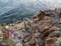 Красивое болгарское скалистое побережье Чёрного моря на курортном городе Sozopol стоковое фото rf Красивое болгарское скалистое побережье Чёрного моря на курортном городе Sozopol стоковое фото rf