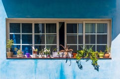 Красивые цветки в открытых близких окнах на голубой канарской стене стоковые фото Красивые цветки в открытых близких окнах на голубой канарской стене стоковые фото