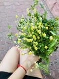 Красивые цветки в руках стоковые фото Красивые цветки в руках стоковые фото