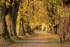 Красивый осенний бульвар на юге Германии около Mindelheim стоковая фотография Красивый осенний бульвар на юге Германии около Mindelheim стоковая фотография