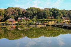 Красивый парк в Токио, Япония Shinjuku стоковое фото Красивый парк в Токио, Япония Shinjuku стоковое фото