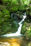 Красивый поток горы с мхом покрыл камни стоковая фотография Красивый поток горы с мхом покрыл камни стоковая фотография