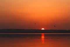 Красивый пылая ландшафт захода солнца на реке Dnipro и оранжевом небе над им с отражением внушительного солнца золотым на спокойн Стоковые Изображения RF Красивый пылая ландшафт захода солнца на реке Dnipro и оранжевом небе над им с отражением внушительного солнца золотым на спокойн Стоковые Изображения RF