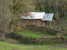 Красивый сад в Иране, Gilan, Азии стоковые фото Красивый сад в Иране, Gilan, Азии стоковые фото
