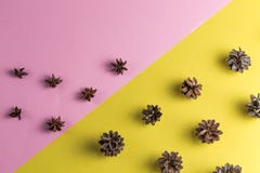 Красивый состав осени для терапии ароматности стоковые фото Красивый состав осени для терапии ароматности стоковые фото