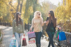3 красивых молодой женщины с хозяйственными сумками стоковые изображения rf 3 красивых молодой женщины с хозяйственными сумками стоковые изображения rf