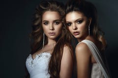 2 красивых модели с идеальным займут и платьями свадьбы стиля причесок нося и роскошными серьгами стоковое изображение rf 2 красивых модели с идеальным займут и платьями свадьбы стиля причесок нося и роскошными серьгами стоковое изображение rf