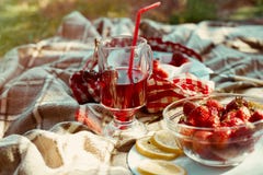Красная клубника вишни сока ягоды в стекле coctail стоковая фотография rf Красная клубника вишни сока ягоды в стекле coctail стоковая фотография rf
