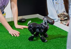 Краснодар, Россия, март 2019: фестиваль роботов Собака AIBO робота исполняет команды стоковая фотография Краснодар, Россия, март 2019: фестиваль роботов Собака AIBO робота исполняет команды стоковая фотография