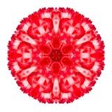 Красное Kaleidoscopic цветка мандалы гвоздики изолированное на белизне Стоковая Фотография Красное Kaleidoscopic цветка мандалы гвоздики изолированное на белизне Стоковая Фотография