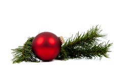 красный цвет сосенки орнамента рождества ветви bauble стоковые изображения rf красный цвет сосенки орнамента рождества ветви bauble стоковые изображения rf