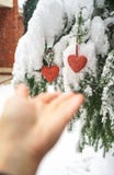 2 красных сердца и руки ткани на тяжелой снежной предпосылке ветви ели, около дома красного кирпича Веселое рождество, С Новым Го стоковые изображения 2 красных сердца и руки ткани на тяжелой снежной предпосылке ветви ели, около дома красного кирпича Веселое рождество, С Новым Го стоковые изображения