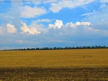 Красота поля, обширных пространств стоковая фотография Красота поля, обширных пространств стоковая фотография