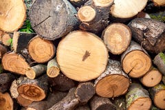 Круглая древесина вносит предпосылку в журнал текстуры конца-вверх при различные диаметры размера сосен, который хранят в большой стоковые фотографии rf Круглая древесина вносит предпосылку в журнал текстуры конца-вверх при различные диаметры размера сосен, который хранят в большой стоковые фотографии rf