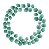 Круглый венок евкалипта разветвляет серебряный доллар Акварель ve бесплатная иллюстрация Круглый венок евкалипта разветвляет серебряный доллар Акварель ve бесплатная иллюстрация