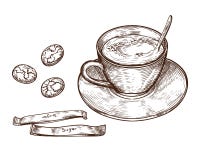 Кружка чашки руки вычерченная горячих кофе напитка, чая etc Чашка изолированная на белой предпосылке Чашка, кофейная чашка бесплатная иллюстрация Кружка чашки руки вычерченная горячих кофе напитка, чая etc Чашка изолированная на белой предпосылке Чашка, кофейная чашка бесплатная иллюстрация