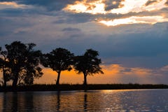 Круиз захода солнца на реке Chobe, Ботсване стоковые фотографии rf Круиз захода солнца на реке Chobe, Ботсване стоковые фотографии rf