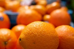 Крупный план апельсина перед расплывчатыми апельсинами стоковое изображение rf Крупный план апельсина перед расплывчатыми апельсинами стоковое изображение rf