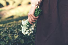 Крупный план женской руки держа пук snowdrops стоковая фотография rf Крупный план женской руки держа пук snowdrops стоковая фотография rf