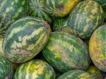 Куча арбузов в рынке стоковые изображения Куча арбузов в рынке стоковые изображения