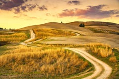 Ландшафт Тосканы, сельская дорога и зеленое поле Volterra Италия стоковая фотография Ландшафт Тосканы, сельская дорога и зеленое поле Volterra Италия стоковая фотография