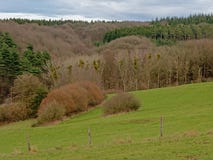 Ландшафт Арденн, Rolling Hills с соснами и лиственными деревьями с омелами под темными облаками стоковое изображение Ландшафт Арденн, Rolling Hills с соснами и лиственными деревьями с омелами под темными облаками стоковое изображение