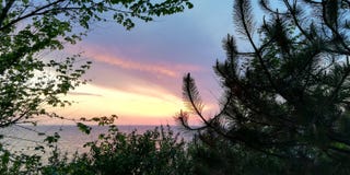 Ландшафт захода солнца моря в голубых и розовых тонах на фоне куста и деревьев стоковые изображения rf Ландшафт захода солнца моря в голубых и розовых тонах на фоне куста и деревьев стоковые изображения rf