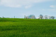 Ландшафт зеленого поля с предпосылкой деревьев стоковое фото rf Ландшафт зеленого поля с предпосылкой деревьев стоковое фото rf