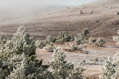 Ландшафт зимы горы Солнце сияющее покрытая Снег долина Ландшафт через деревья стоковые изображения rf Ландшафт зимы горы Солнце сияющее покрытая Снег долина Ландшафт через деревья стоковые изображения rf