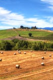 Ландшафт лета в Val d „Orcia, Тоскане стоковые фотографии rf Ландшафт лета в Val d „Orcia, Тоскане стоковые фотографии rf