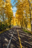 ландшафт упаденный осенью выходит желтый цвет дороги парка Деревья осени в парке стоковые фотографии rf ландшафт упаденный осенью выходит желтый цвет дороги парка Деревья осени в парке стоковые фотографии rf
