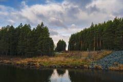 Лес осени с проселочной дорогой на заходе солнца Красочный ландшафт с деревьями, сельская дорога, солнце в падении стоковая фотография rf Лес осени с проселочной дорогой на заходе солнца Красочный ландшафт с деревьями, сельская дорога, солнце в падении стоковая фотография rf