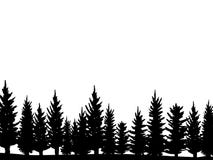 Лес силуэта елей рождества Coniferous елевая панорама Парк вечнозеленой древесины Вектор на белой предпосылке иллюстрация вектора Лес силуэта елей рождества Coniferous елевая панорама Парк вечнозеленой древесины Вектор на белой предпосылке иллюстрация вектора