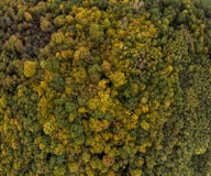 Летать над деревьями красочными осени treetops лес Франция стоковая фотография rf Летать над деревьями красочными осени treetops лес Франция стоковая фотография rf