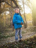 7 - летний мальчик освещен заходящим солнцем в парке осени стоковое изображение 7 - летний мальчик освещен заходящим солнцем в парке осени стоковое изображение