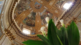 Лилии в церков Sant' Della Valle Андреа, Рим, Италия стоковые изображения Лилии в церков Sant' Della Valle Андреа, Рим, Италия стоковые изображения