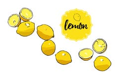 Лимоны тропического очень вкусного мультфильма цитруса вычерченные все, половина лимона Желтый ретро значок ярлыка магазина с тек бесплатная иллюстрация Лимоны тропического очень вкусного мультфильма цитруса вычерченные все, половина лимона Желтый ретро значок ярлыка магазина с тек бесплатная иллюстрация