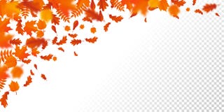 Листья autumanl картины падения лист осени падая на предпосылке вектора прозрачной Стоковое фото RF Листья autumanl картины падения лист осени падая на предпосылке вектора прозрачной Стоковое фото RF