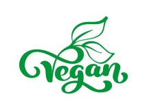 Логотип иллюстрации вектора Vegan, дизайн еды Рукописная литерность для ресторана, меню кафа сырцового Элементы для ярлыков Стоковые Фото Логотип иллюстрации вектора Vegan, дизайн еды Рукописная литерность для ресторана, меню кафа сырцового Элементы для ярлыков Стоковые Фото